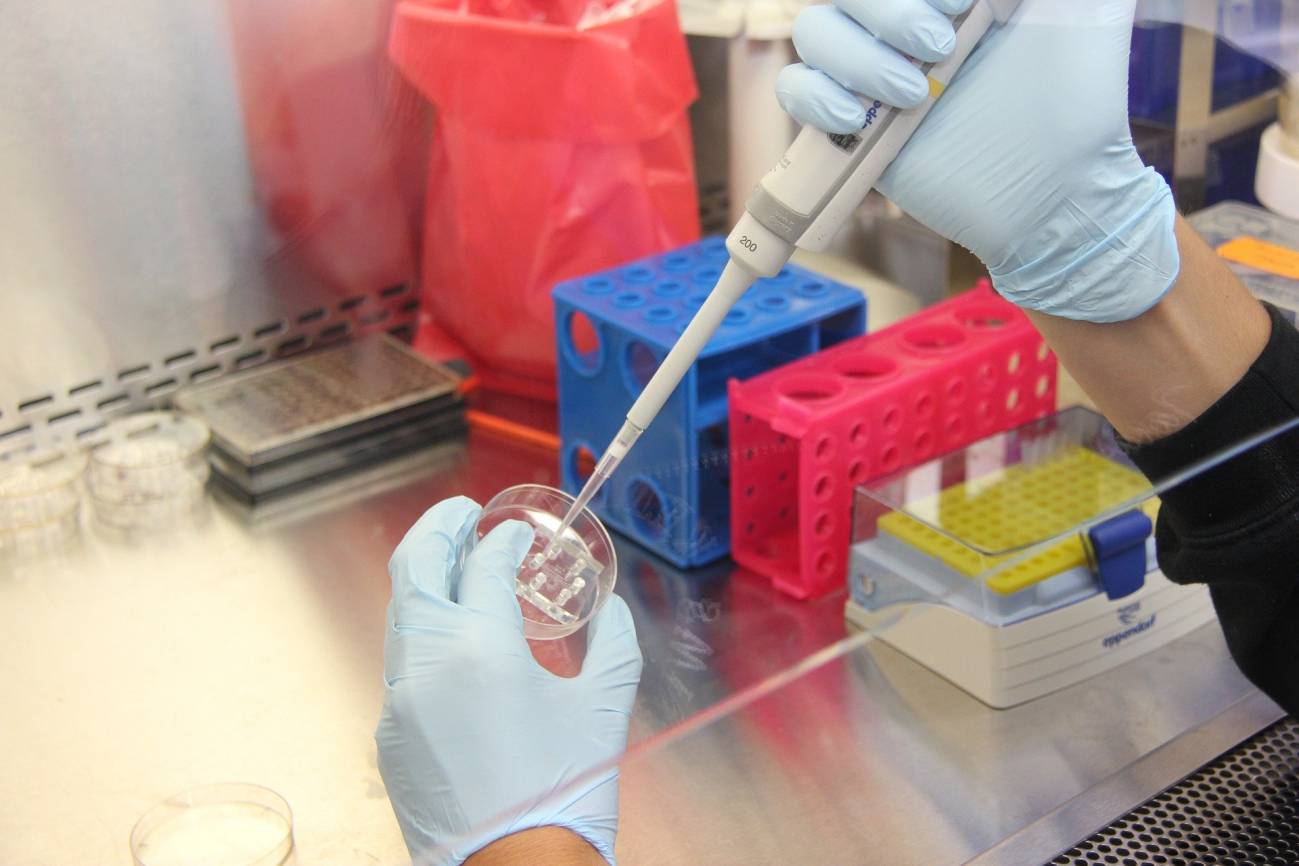 Seis nuevos ensayos para mejorar la prevención, diagnóstico y tratamiento de la COVID-19