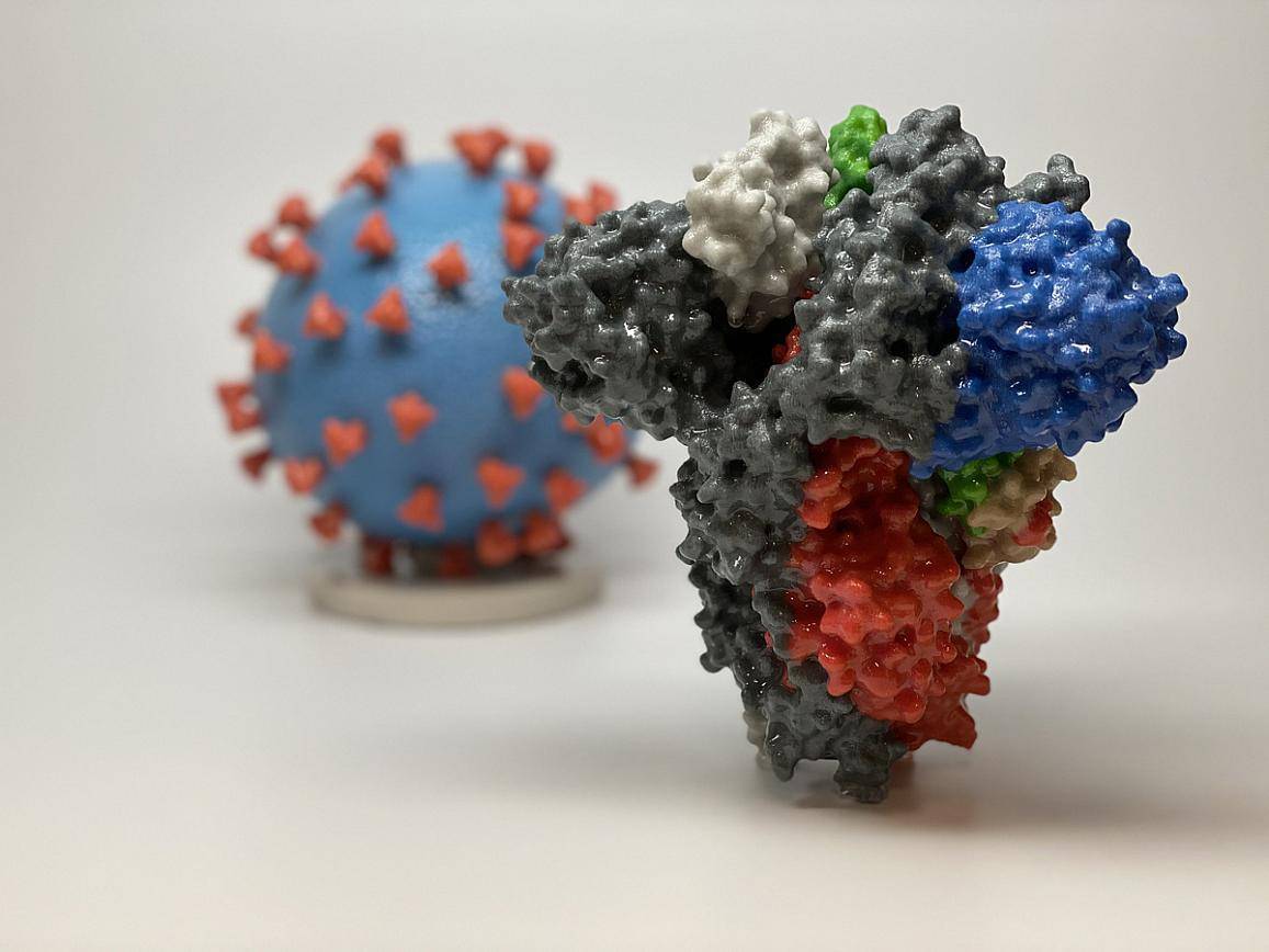 Proteína spike del SARS-CoV-2