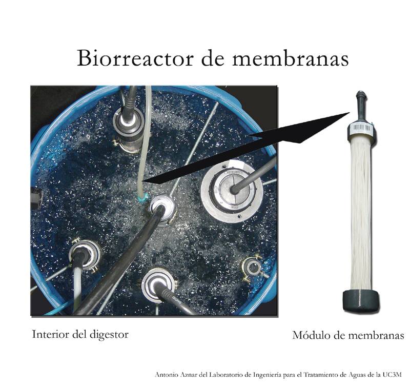 Sistemas biológicos para mejorar la calidad del agua