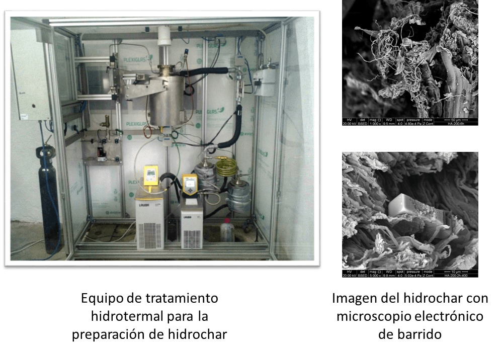 Transforman residuos de macroalgas en un material altamente energético