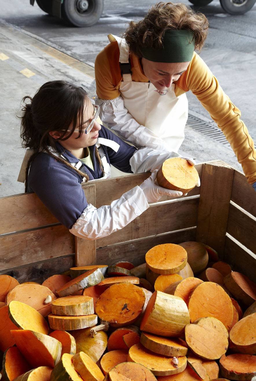 Transforman residuos vegetales destinados al vertedero en harinas para piensos