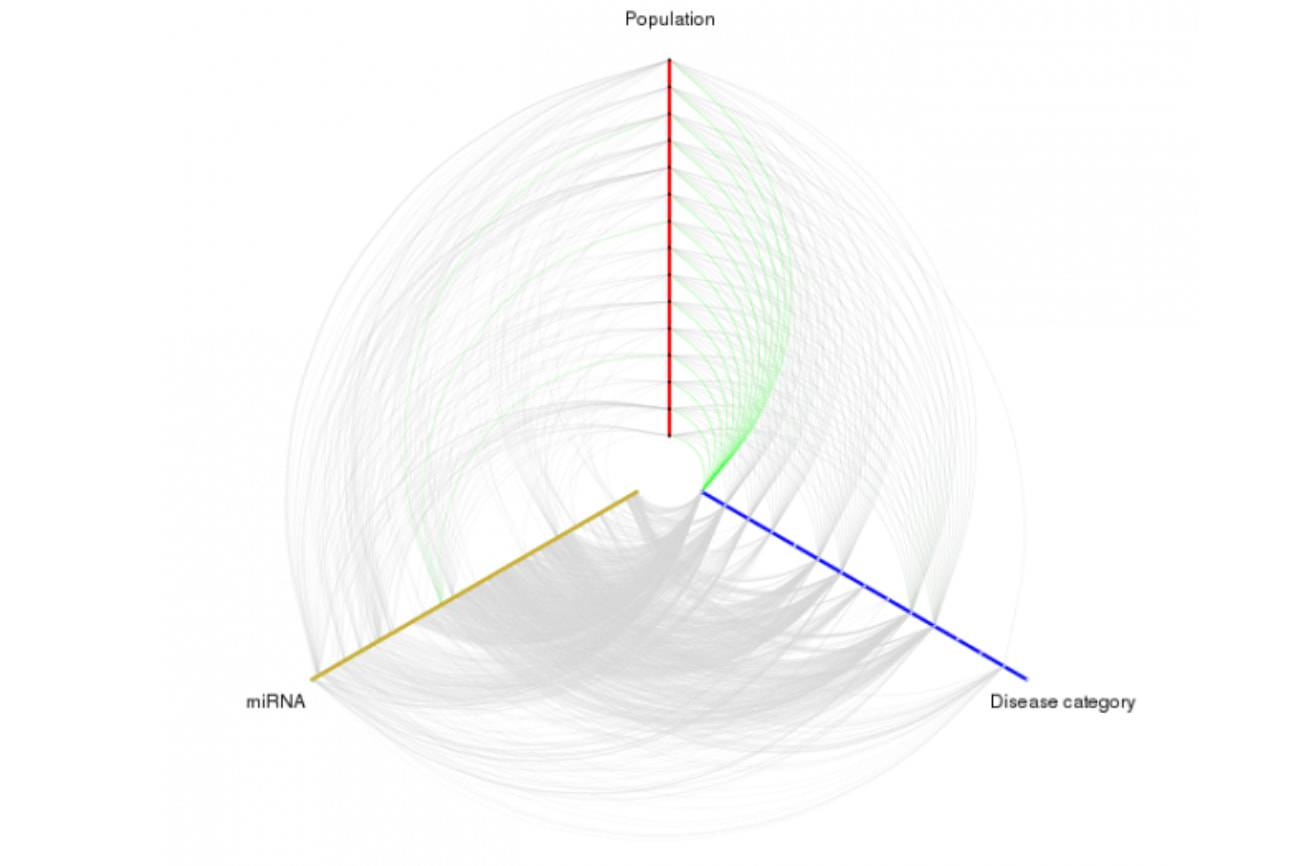 Gráfico que relaciona enfermedades con micro-RNA. /CIPF