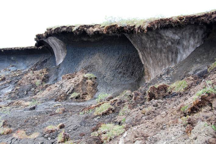Un atlas recoge el papel decisivo de los suelos del norte de Europa en el cambio climático