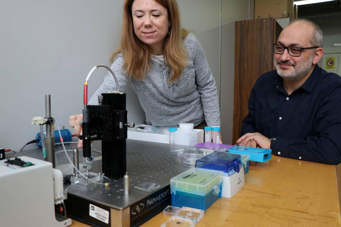 Un biosensor óptico detecta problemas alrededor de las heridas crónicas