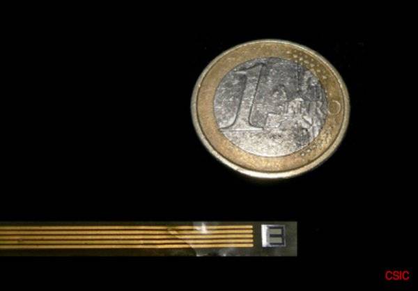 Un biosensor permite diagnosticar la infección por VIH en menos de una hora