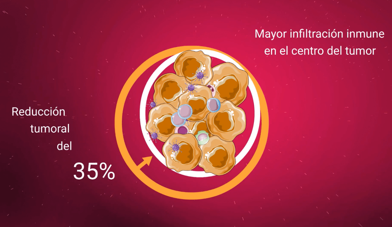 Efectos de Celyvir