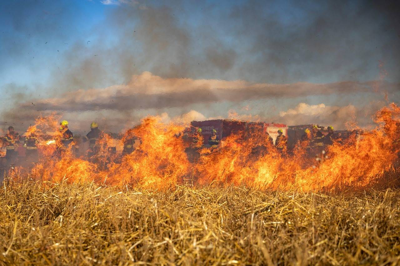 Un clima extremo y una vegetación lista para arder intensificaron los incendios de 2025 en España