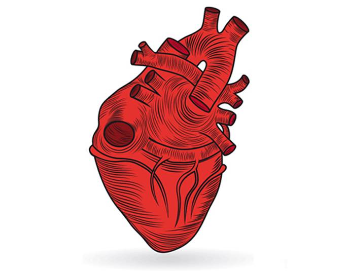Un complemento alimenticio reduce en un 57% once biomarcadores de riesgo cardiovascular