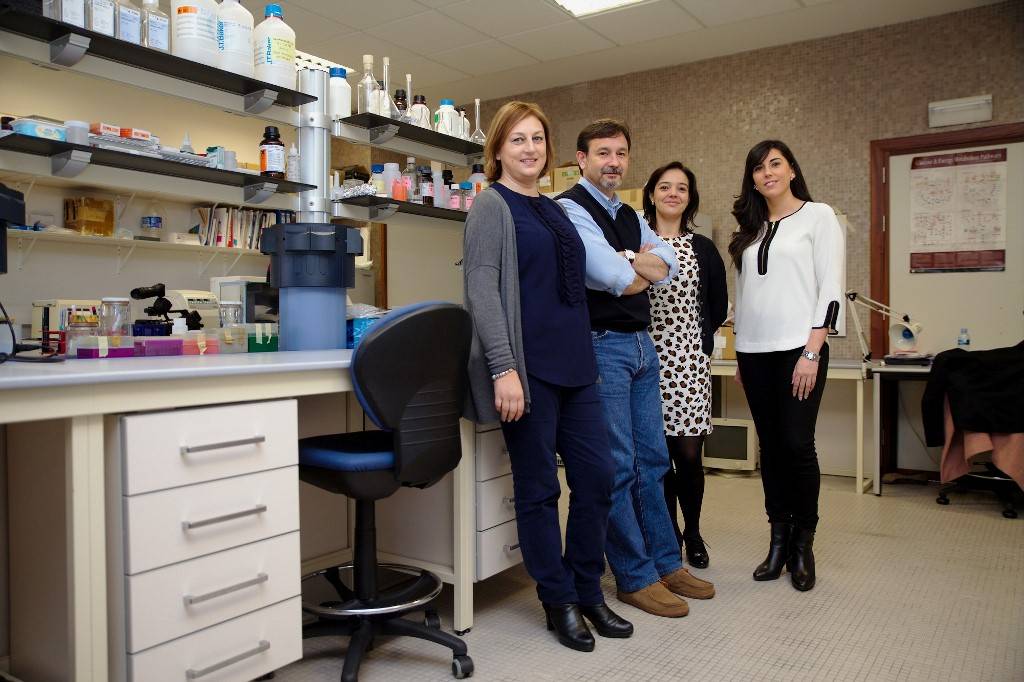 Un compuesto de origen vegetal combate la infertilidad asociada a la obesidad 