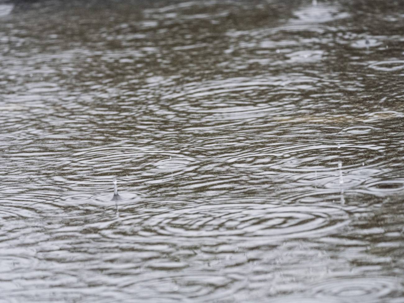 Los sistemas de drenaje urbano sostenible constituyen uno de los principales recursos para el manejo sostenible de las aguas de escorrentía procedentes de las lluvias.