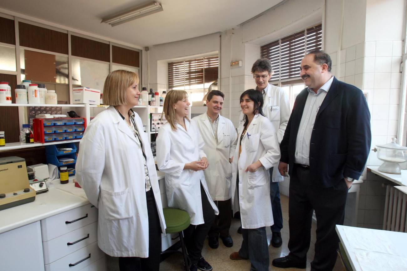 Un grupo de investigadores revisa sus trabajos sobre el crecimiento del cerebro embrionario