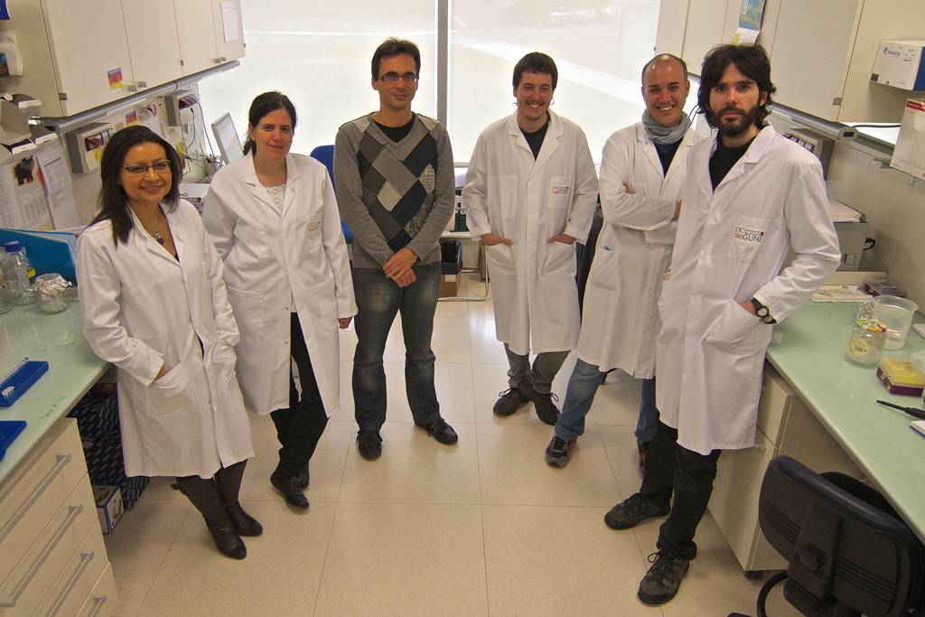 Equipo que ha realizado la investigación