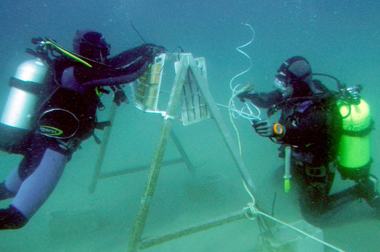 Investigadores de la Universidad de Cádiz encuentran los restos del Fougueux.