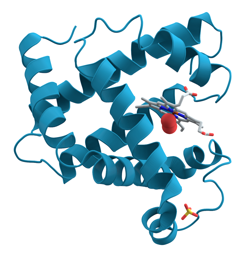 Un nuevo método en 3D mejora el estudio de las proteínas