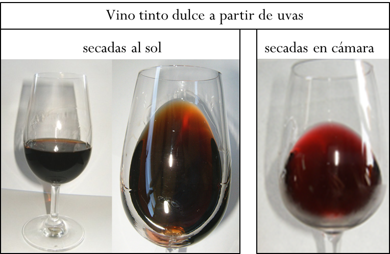 Comparativa de vinos / Fundación Descubre