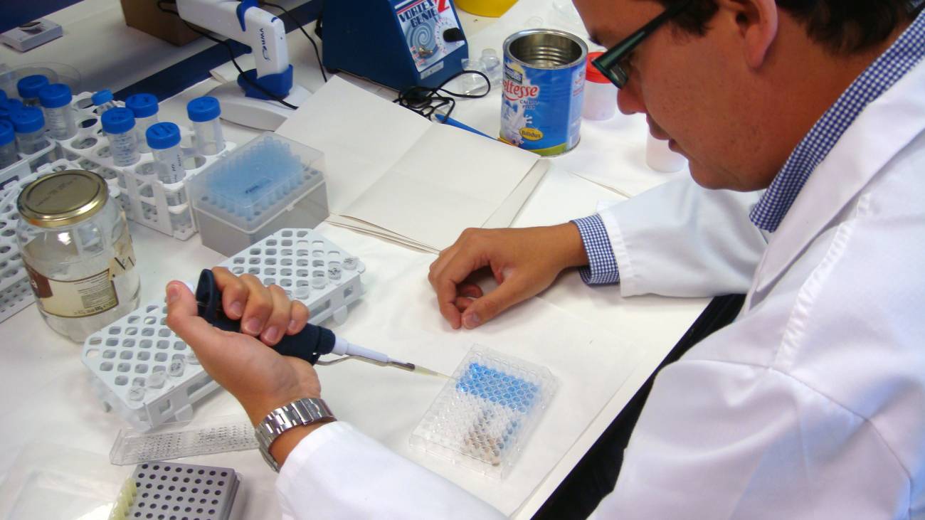 Un nuevo procedimiento diagnostica trastornos en la coagulación