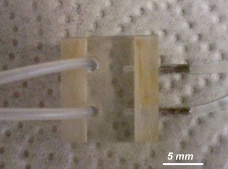 Un nuevo sensor permite analizar in situ los niveles de mercurio en el agua 