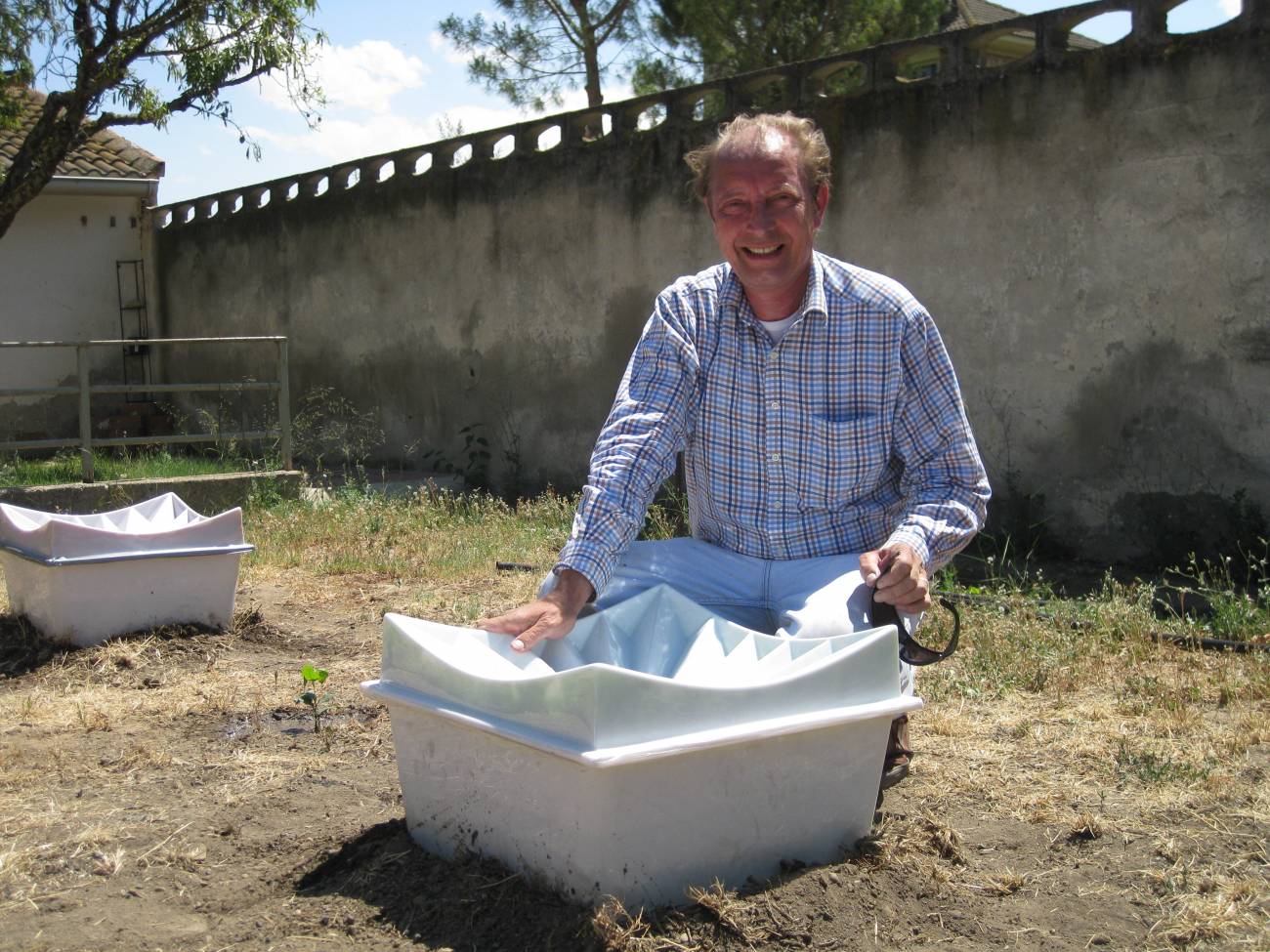 Un nuevo sistema de reforestación captura agua del aire y la transfiere a la planta