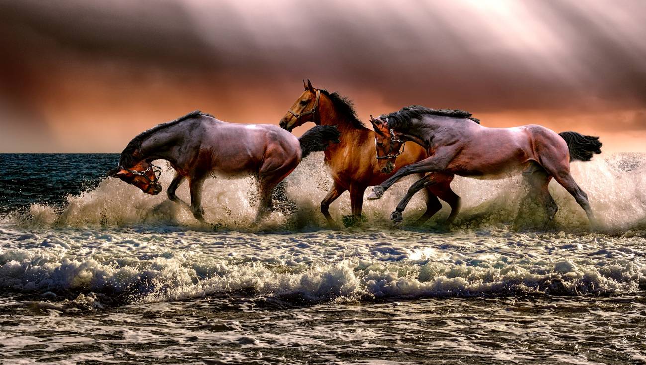Un nuevo sistema mejora la calidad del esperma congelado de caballo  