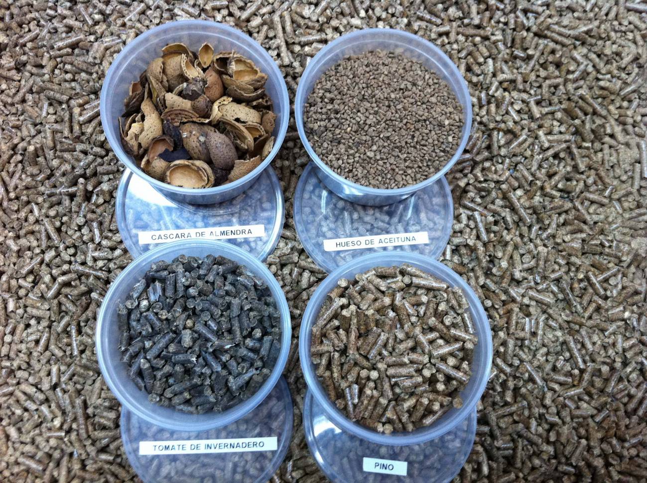 Muestras de biomasa / Fundación Descubre
