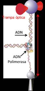 nanomaquina