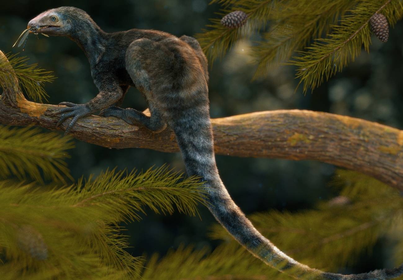 Venetoraptor gassenae