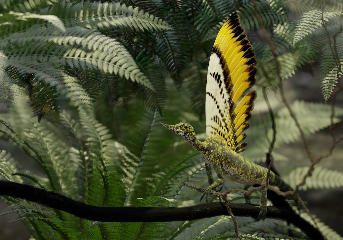 Render de ‘Mirasaura grauvogeli’ / Rick Stikkelorum