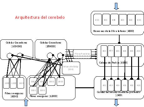 Un simulador artificial del sistema nervioso humano permitirá investigar enfermedades