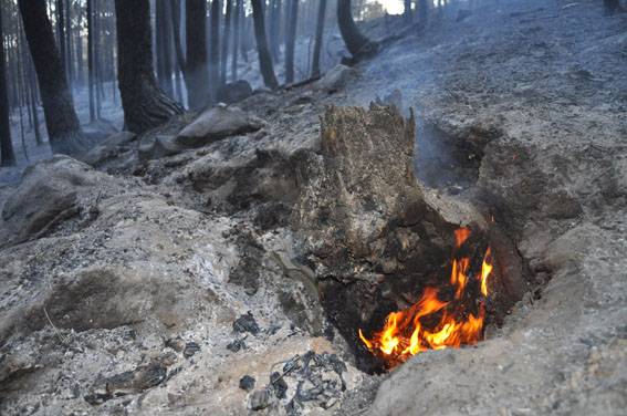 Un sistema de alerta temprana anticipa inundaciones e incendios forestales