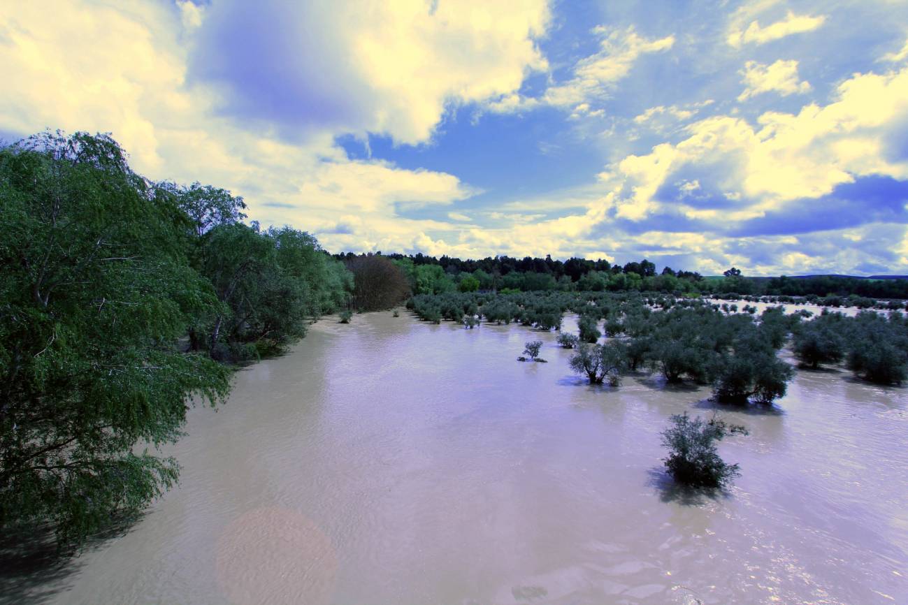 Río Guadalquivir en una zona cercana a Villanueva de la Reina (Jaén) en 2013, donde se produjeron desbordamientos / Fundación Descubre