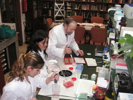 "Un suplemento de glicina en la alimentación previene enfermedades degenerativas como la artrosis o la osteoporosis"