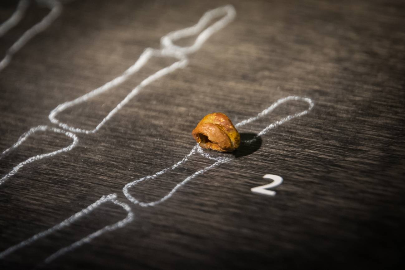 Un tesoro fósil en el suroeste de China revela la biología y el ingenio de los denisovanos