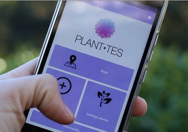 Planttes