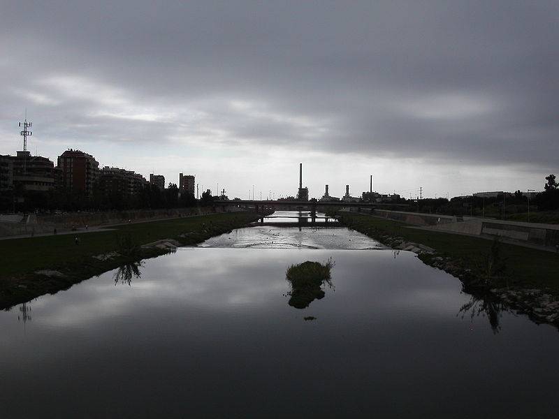 Una bacteria del río Besós para descontaminar el agua