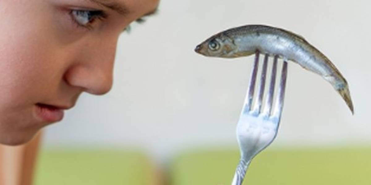 nutrición, pescado, niños 