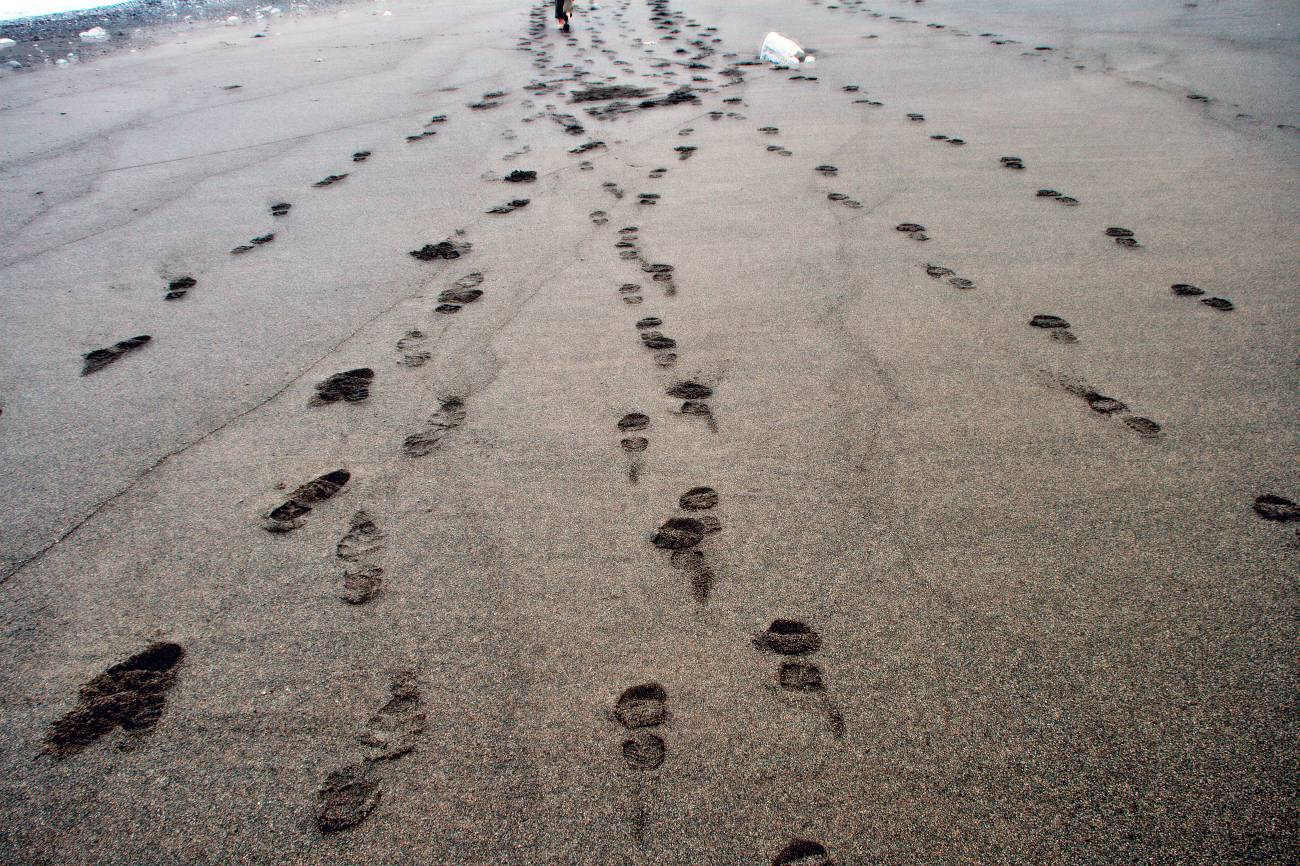 El cálculo funciona perfectamente tanto si los individuos van corriendo como si van andando. / Christian Haugen