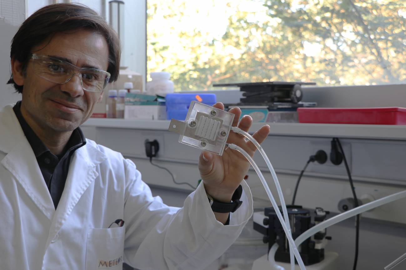 Una ‘hoja’ artificial transforma el CO2 en biocombustible