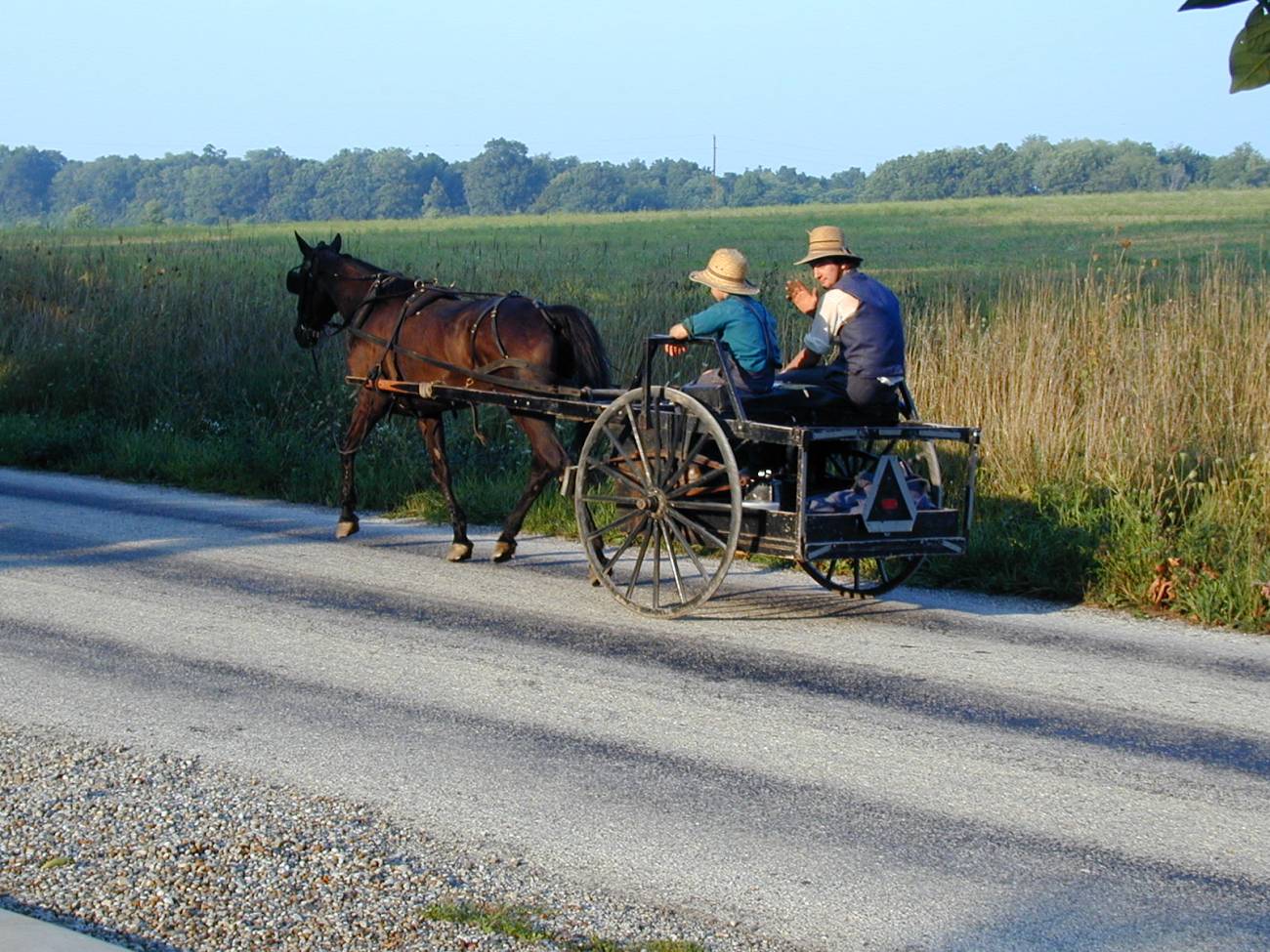 Integrantes de la comunidad amish se desplazan con un carro. / IDIBELL.