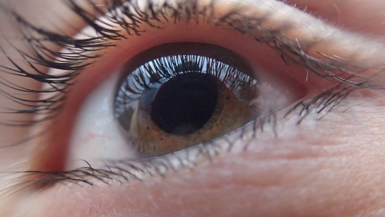 Una nueva lente intraocular se prueba en pacientes con cataratas 