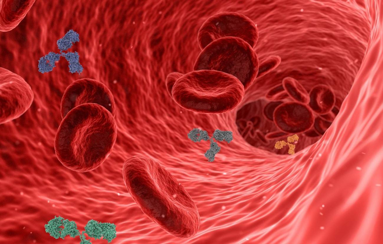 Una nueva prueba del ‘colesterol malo’ previene con más precisión enfermedades coronarias 