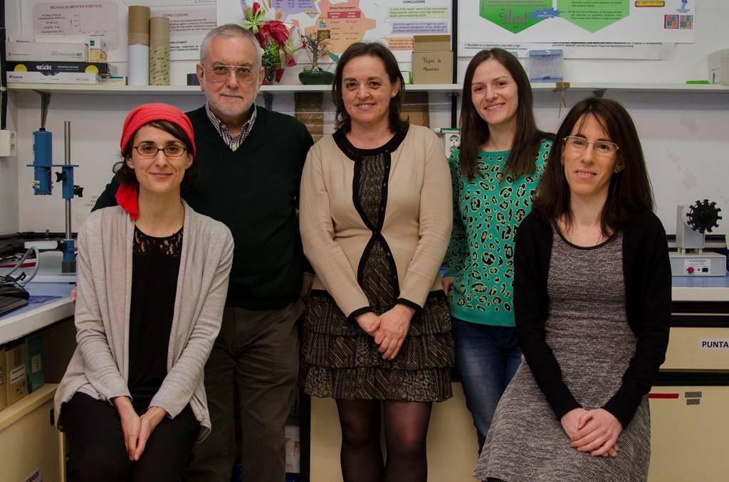 Una nueva técnica mejora y abarata la detección del gluten en alimentos