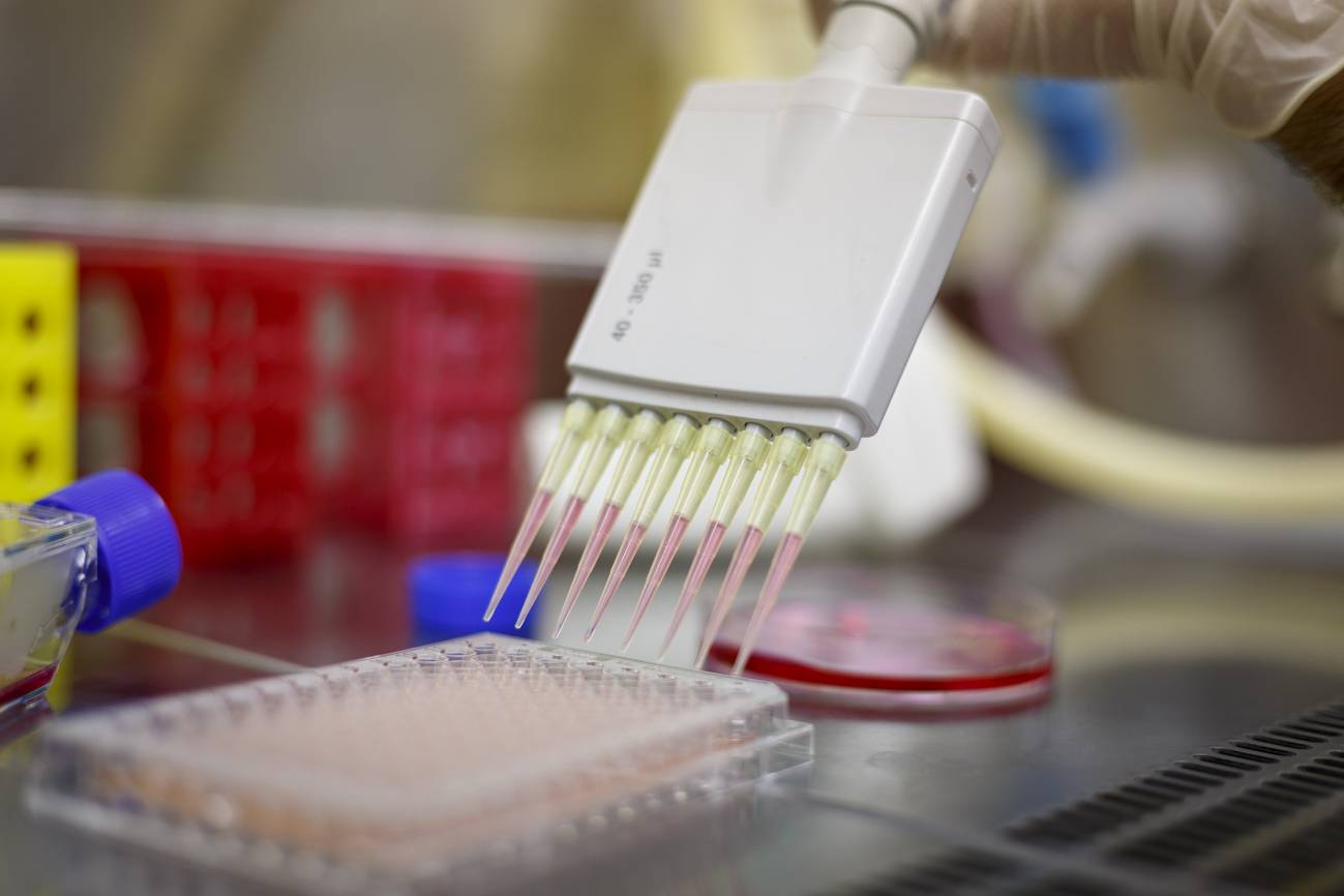 Una plataforma para el ensayo de fármacos con neuronas de células madre humanas