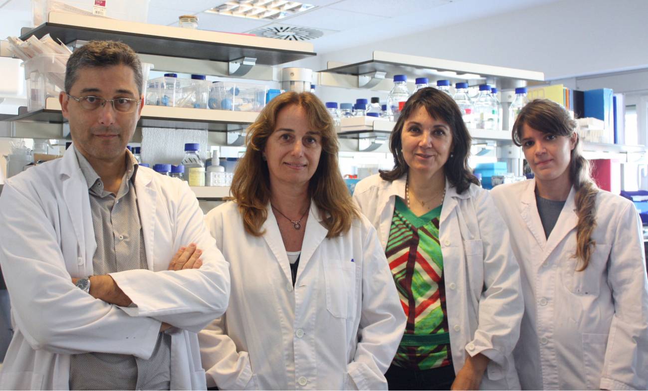 Una terapia génica protege contra los déficits de memoria asociados al envejecimiento