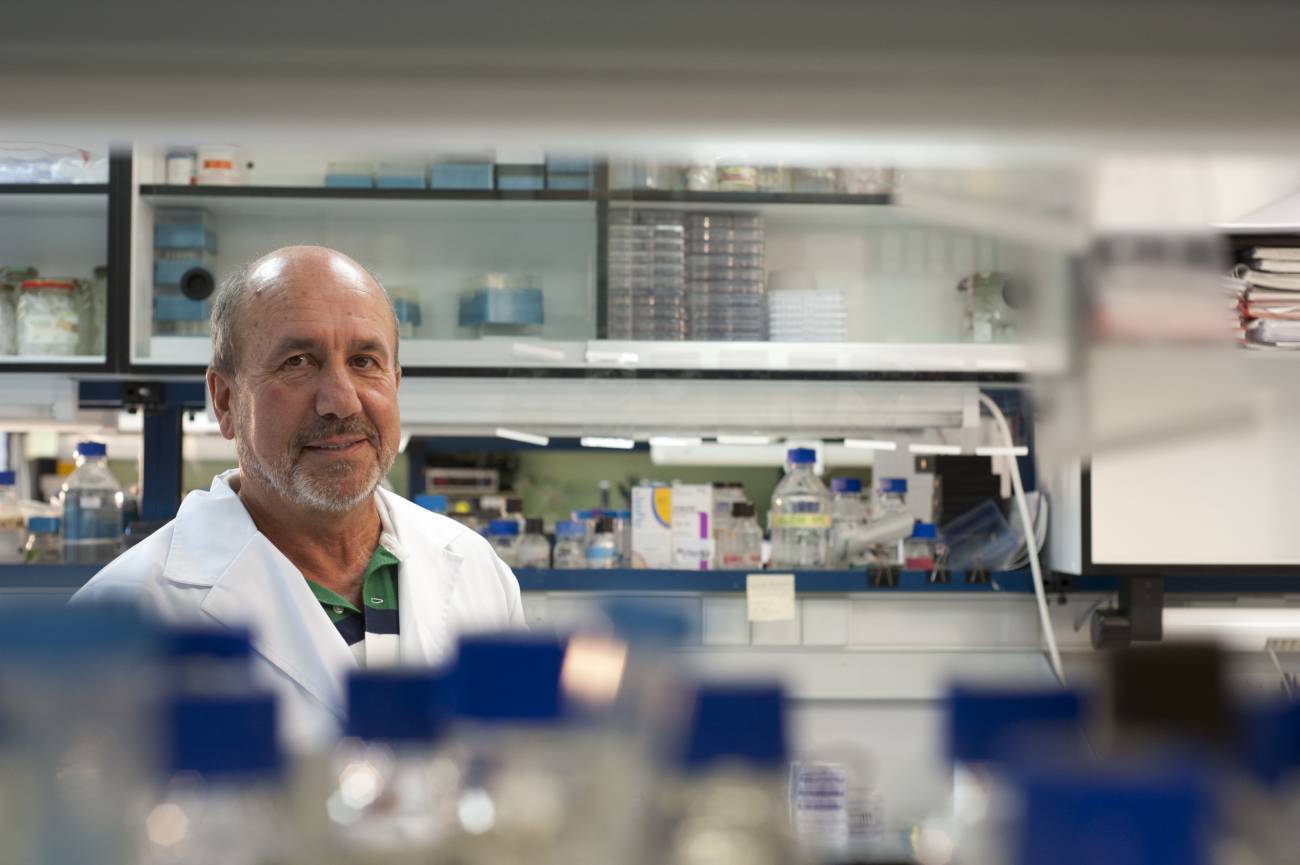 Mariano Esteban, CNB-CSIC