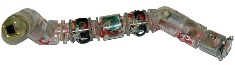Unos microrrobots modulares imitan comportamientos de los seres vivos