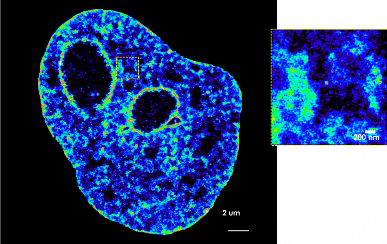 imagen de ADN captada por microscopía de última generación