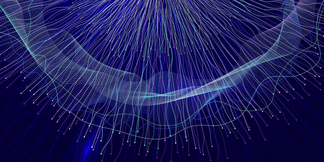 información de nuestro entorno se organiza en el cerebro de forma geométrica