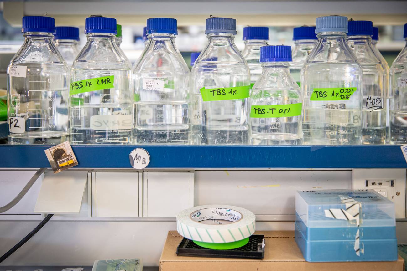 Biotecnología, nanotecnología y demografía para atajar el coronavirus