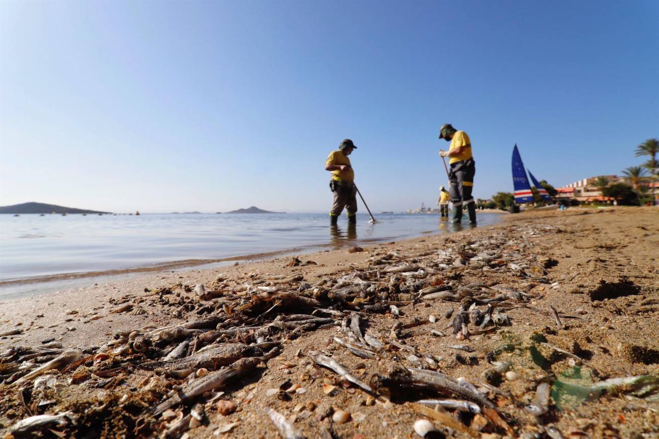 El Mar Menor, un ecosistema singular bajo presión 