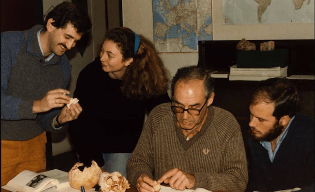 Juan Luis Arsuaga, la investigadora francesa Anne Marie-Moigne, Emilinano Aguirre e Ignacio Martínez estudiando fósiles en el departamento de paleontología de la Universidad Complutense de Madrid. /  José María Bermúdez de Castro